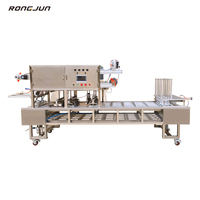 RJBG-4Q Model Automatische Complete Geconcentreerde Appelsap Productielijn Vloeistofvulfmachine Productielijn Kunststof