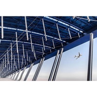 Estructura de Acero de Gran Envergadura para Techos de Edificios de Aeropuertos, Estructura de Armadura Espacial Personalizable