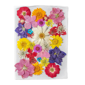 28 pièces résine décor artisanat en vrac Kit <span class=keywords><strong>pas</strong></span> <span class=keywords><strong>cher</strong></span> naturel sec fleurs feuilles bricolage roses pressées pour Scrapbook bougies <span class=keywords><strong>Rose</strong></span> pétale feuille Type - Product Image 4