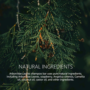 Champú Sólido Natural de Arborvitae de Marca Privada para el Crecimiento y Engrosamiento del Cabello para Hombres y Mujeres, Jabón para el Recrecimiento del Cabello - Product Image 4