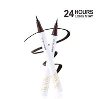 Crayon Eyeliner Minéral Mat Imperméable Longue Durée à Pointe Magnétique en Feutre, Couleurs Variées, Vente Chaude, OEM/ODM, Marque Privée, Échantillon Gratuit