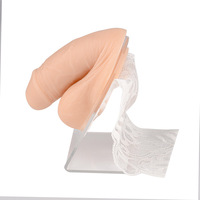 Simulador de Perforación de Pene Masculino de Silicona Suave, Modelo de Entrenamiento Médico con Certificación ISO13485, 11.5x8.5x7.5cm, Perforación Genital