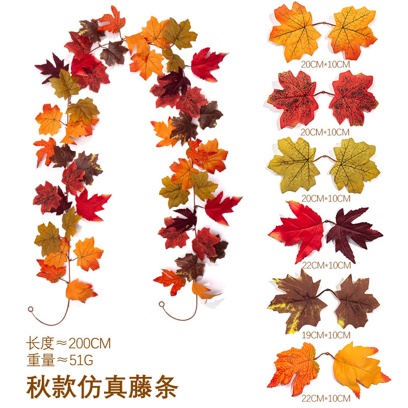 HY-F221    ไฮ-F221