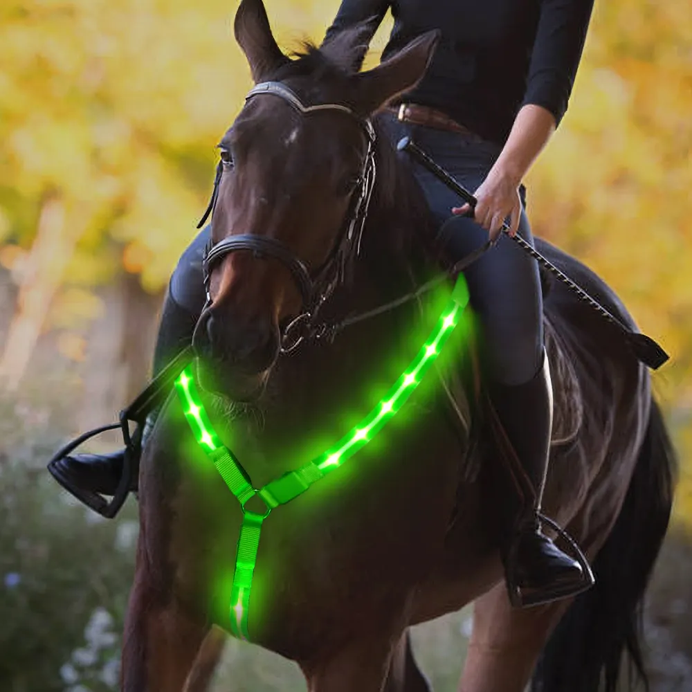 TIZE Wiederaufladbare Led Licht Blinkt Fahren Baum Pferd Brust Kragen