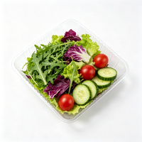 Grote, transparante PET plastic productenbak, vierkant, voor fruit, groenten en salades, geschikt voor supermarkten