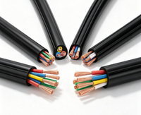 Maßgefertigtes RVV Flexibles Flammhemmendes Ingenieur-Team Mehradriges OFC-Kupfer 300/500V Hauskabel für Gewerbeimmobilien