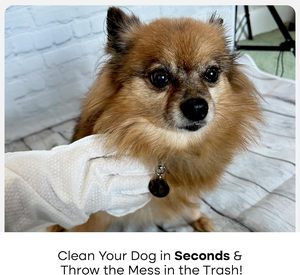 Gants de nettoyage pour chiens personnalisés nettoyage facile <span class=keywords><strong>lingettes</strong></span> pour animaux de compagnie pour <span class=keywords><strong>chien</strong></span> chat toilettage gants pour tissus humides - Product Image 2