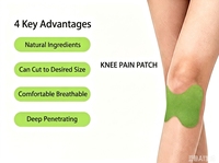 Patch Herbal Naturel à l'Armoise et au Gingembre pour Articulations, Respirant, Découpable, Auto-Adhésif pour Genoux, Coudes, Chevilles OEM/ODM