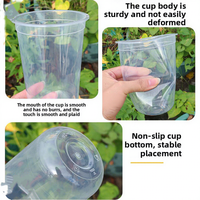 Panier de transplantation en plastique pour semis hydroponiques, système de racines, graines, succulentes, patates douces