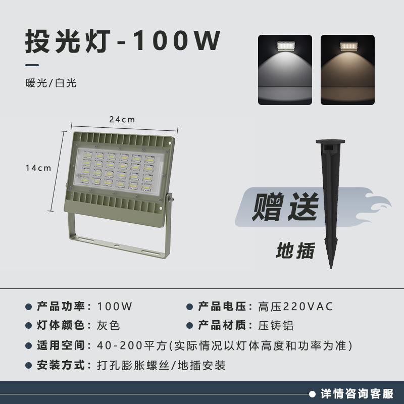 100w (luz cálida/luz blanca)