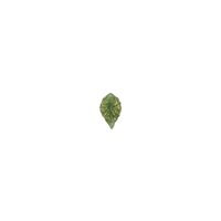 Nouvelles décorations pour ongles, petites feuilles en résine multicolores, ornements pour nail art, accessoires pour ongles à presser Pure Desire