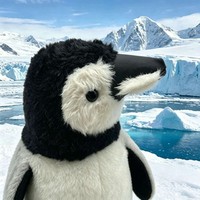 Peluche pingouin mignonne, jouet en peluche doux, poupée en coton PP, coussin cadeau pour enfants, décoration de fête ou d'aquarium