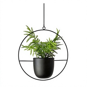Jardinière suspendue en fer de conception fantastique taille personnalisée forme ronde jardinière de fleurs suspendue pour une utilisation en intérieur - Product Image 1