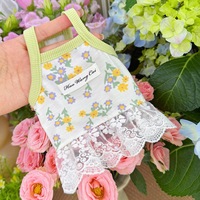 Vêtements d'été pour chat et chien Vêtements élastiques respirants pour chat japonais Robe débardeur coréenne Teddy Bichon Maltais