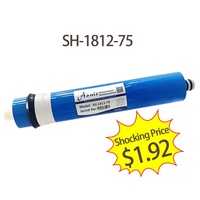 Membrane d'osmose inverse RO 50/75/100 GPD pour purificateur d'eau, filtre électrique pour usage domestique, automobile, extérieur, camping-car, hôtel, en plastique