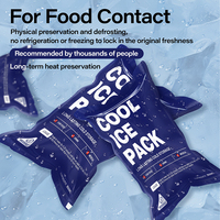 Vessies de glace en gel étanche sans BPA non toxique pour glacières logo personnalisé bleu réutilisable pour le camping la plage le voyage sans danger pour les aliments