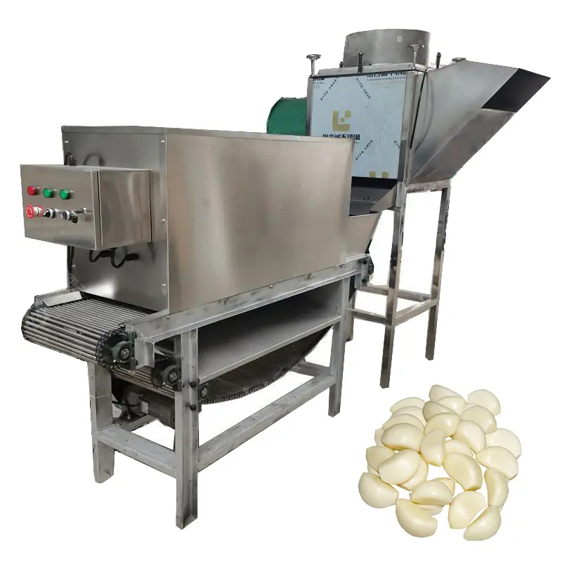 Elektrische Knoblauch verarbeitung maschinen/Knoblauch brechen Schälmaschine Knoblauch pulver Produktions linie