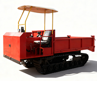 TW-XN China Mini-Raupendumper mit Dieselmotor, Selbstlade-Transporter, 800 kg, Hydraulikhebevorrichtung, Raupenantrieb, CE, 37 kW, Yunnei 490