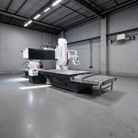 Fresadora CNC Industrial Tongbang DSK1632 con Soporte en Línea 24/7, 3 Ejes de Alta Precisión, Control GSK, Husillo BT40, PVC de Servicio Ligero