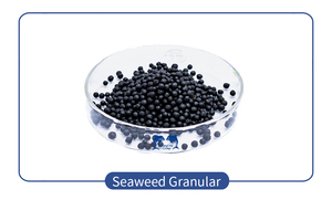 Acidi Umici Organici, Granuli di Alghe Marine, Fertilizzante NPK, Biostimolante Agricolo, Fertilizzante per Terreno - Product Image 2