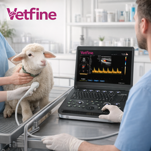 Mesin USG Medis Veteriner 3D untuk Kehamilan, Ecografo Digital Cardiac Color <span class=keywords><strong>Doppler</strong></span> PW, Pemindai USG Veteriner - Product Image 2