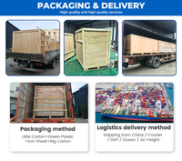 Convoyeur incliné pour le chargement et le déchargement de conteneurs, colis, cartons et marchandises emballées