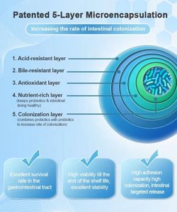 पेटेंट लैक्टोबैसिलस रेटरी 50b प्रीमियर प्रोबायोटिक पाउडर ओएम और बल्क एल हृदय और आंत स्वास्थ्य के लिए जीवाणु - Product Image 3