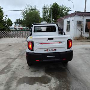 Camionetas Eléctricas de 4 Ruedas para Adultos, Nuevas, de Energía Renovable, con 3000W y 101-200km de Autonomía, Venta Directa de Fábrica en China - Product Image 5