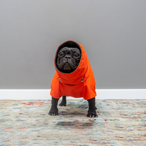 Qiqu Pet Supplies Personnalisé Nouveau Designer Bouledogues Français Imperméables Imperméables Chien Printemps Automne Manteau Frenchies Veste <span class=keywords><strong>Carlin</strong></span> Chien Vêtements - Product Image 2