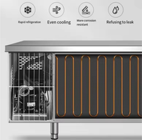 Réfrigérateur professionnel sous comptoir en acier inoxydable 304 à double porte, écoénergétique