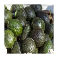 Оптовая продажа из США, покупатель, 100% натуральный сладкий урожай, свежий органический мексиканский авокадо премиум класса