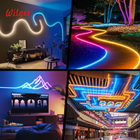 Ruban LED néon professionnel D18, durée de vie de 50 000 heures, effet d'éclairage à 360°, étanche IP65, silicone, garantie 5 ans, pixels RGB, hôtel