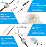   Lampes ponctuelles intelligentes RGBW permanentes pour l'extérieur, certifiées DC24V, avec contrôle par application Wifi, pour la décoration de la maison et des fêtes