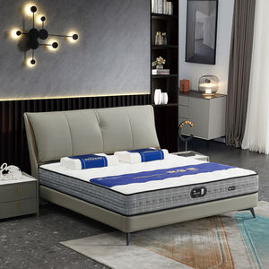 Letto Moderno a Doppio Strato con Rivestimento in Pelle PU, Imbottito in Spugna, per Una o Due Persone, Dimensioni Standard - Product Image 1