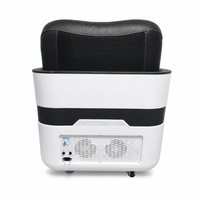 Chaise EMS à double aimant pour le renforcement des muscles du plancher pelvien et la thérapie lombaire profonde 2-en-1 non invasive