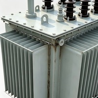 Transformador de Distribución de Energía Sumergido en Aceite de 66kV S9, Económico y Accesible