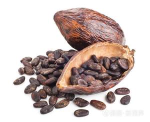 High quality natural <strong>cocoa</strong> extract <strong>cocoa</strong> powder - Product Image 2