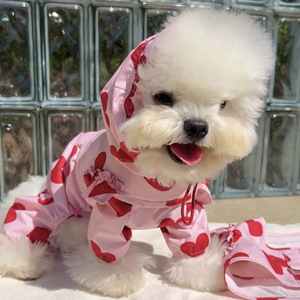 Impermeabile per Cani Coreano con Cappuccio a Copertura Totale per Cani di Piccola e Media Taglia Teddy Bears - Product Image 1