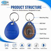 OEM Custom Logo Rewritable 13.56KHz Waterproof ABS RFID Key Fob Proximity Token for Gate Security Door Access Control Supplier