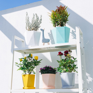 Taiyuan <b>Plastic</b> Flower Pots With Trays Minimalist Design Lightweight Home Use For Balconies And Indoor <b>Plants</b> - Product Image 1