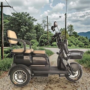 Scooter de Movilidad Abierto de 2 Plazas, Estable y Fácil de Operar, con Autonomía de 50 km (30-50 km/h), Capacidad de Subida de 25 Grados, Ideal para Transporte en Zonas Turísticas y Resorts - Product Image 1