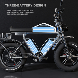 Drievoudige Batterij 2000W Dual Motor E <span class=keywords><strong>Bike</strong></span> 70ah 48V Lifepo4 Hydraulische Rem Volledige Vering 20 Inch Dikke Band 280Km Lange Afstand - Product Image 5