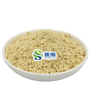 Vegetable Ginger Root Powder Factory Wholesale Price Pure Dry Ginger Powder