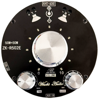 ZK-R502E serin ses göstergesi BT ses amplifikatörü devre kartı modülü yüksek ve düşük bas ayarı 50W + 50W