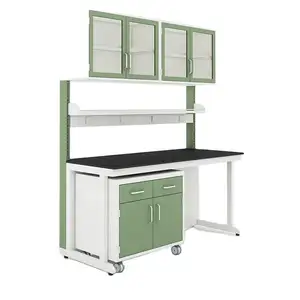 WUY supplier lab bench furniture school physical lab table stainless steel work bench with storage cabinet