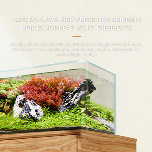 <span class=keywords><strong>Aquarium</strong></span> ultra-clair incurvé pour bureau, habitat pour poissons d'eau douce et marine, nano-vitrine - Product Image 5