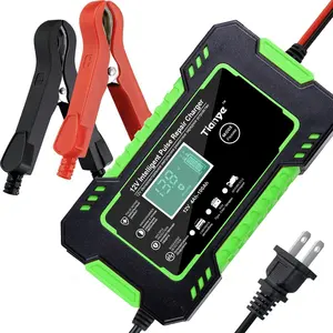 RJTianye 12V6A intelligent pulse repair charger