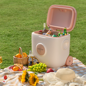 IceMaster 6 12 21QT 9L 10QT 30QT Custom Portable Insulated Ice Cooler Box injection molded Cooler <b>Chest</b> for Good Drinks - Product Image 6