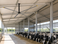 Ventilateur de grange silencieux 24FT HVLS, ventilateur de plafond industriel avec 6/8 pales en alliage d'aluminium pour soulager le stress thermique des vaches