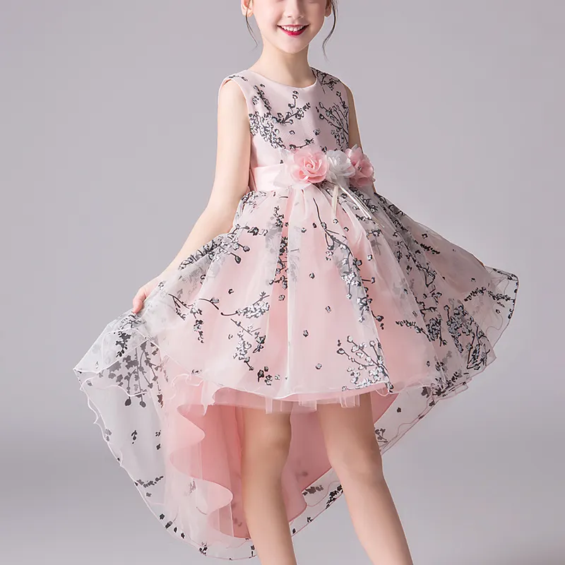 2020 neue Mode Blume Mädchen Kleid Prinzessin Hinter Rock Kleidung Baby Mädchen S Prinzessin Kleid Partei Geburtstag Hochzeit Mini Casual